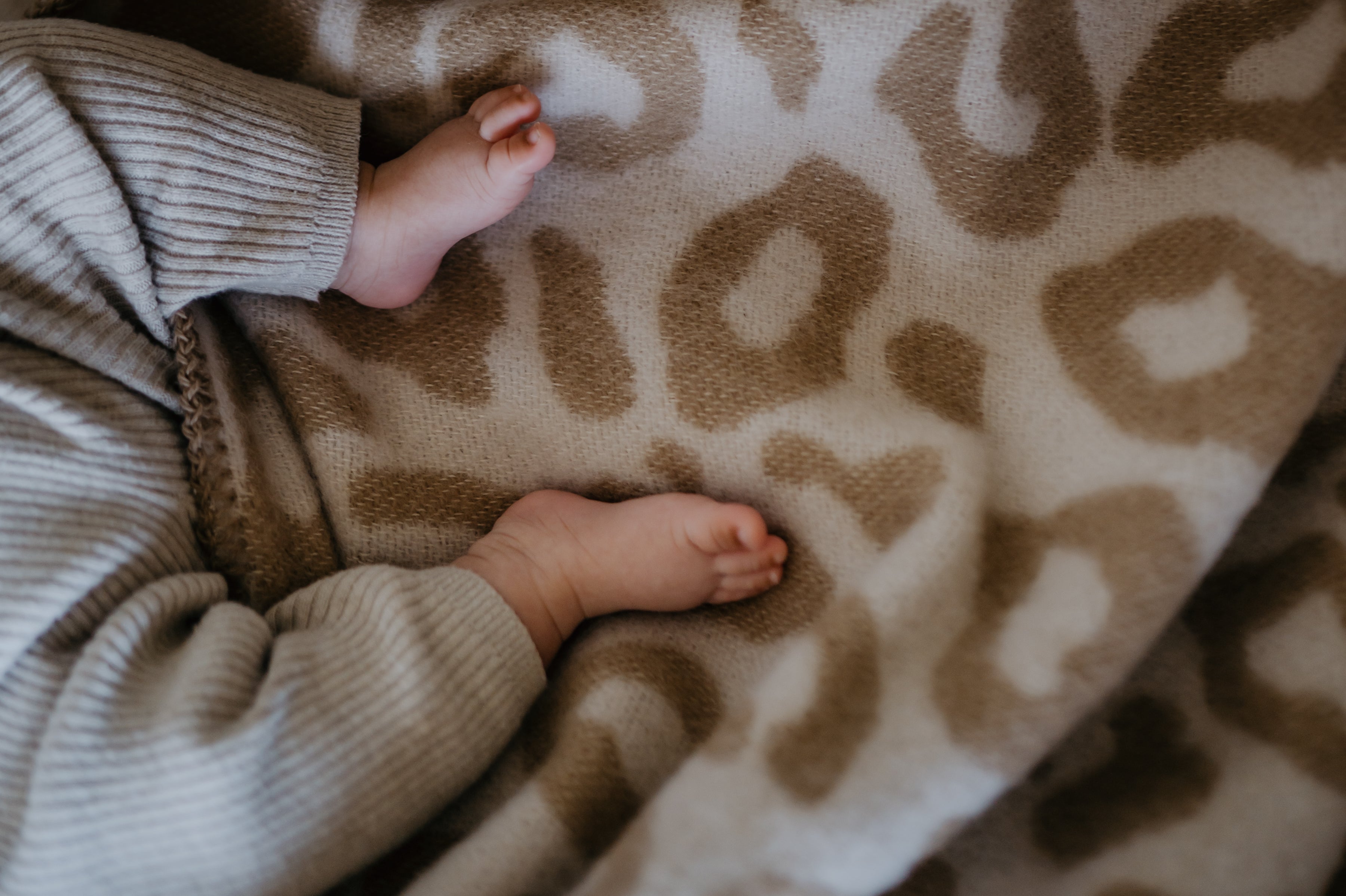 Ledikantdeken wol - panter beige
