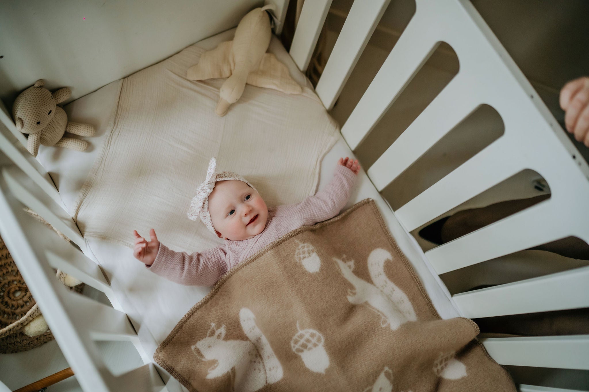 Ledikantdeken wol - Eekhoorntjes - Coffee