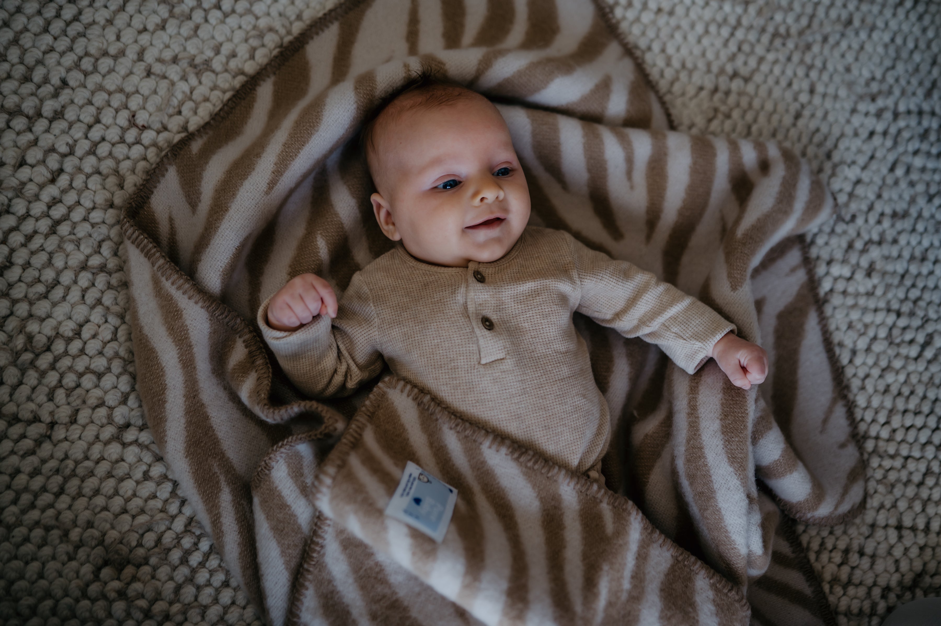 Ledikantdeken wol - zebra beige